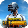 pubg mobile 国际服下载免费最新版2024