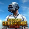 pubg国际服手游下载地铁逃生 亚服