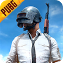 pubg国际服地铁逃生 正版下载