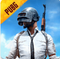 pubg国际服 手游下载官方网站最新版