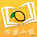柠檬小说 免费阅读下载