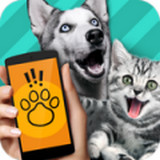 动物语言翻译器 app免费版